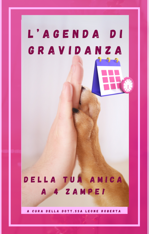 AGENDA DI GRAVIDANZA DELLA TUA AMICA A 4 ZAMPE